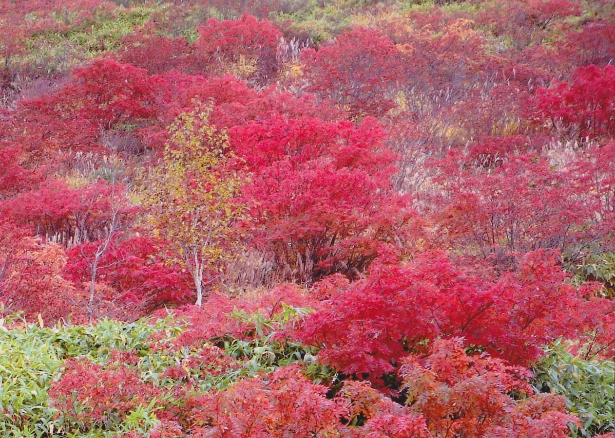Shiga Kogen Hotel Shiga Sunvalley Yamanouchi  Dış mekan fotoğraf